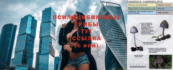 метамфетамин Армянск
