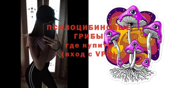 спиды Арсеньев